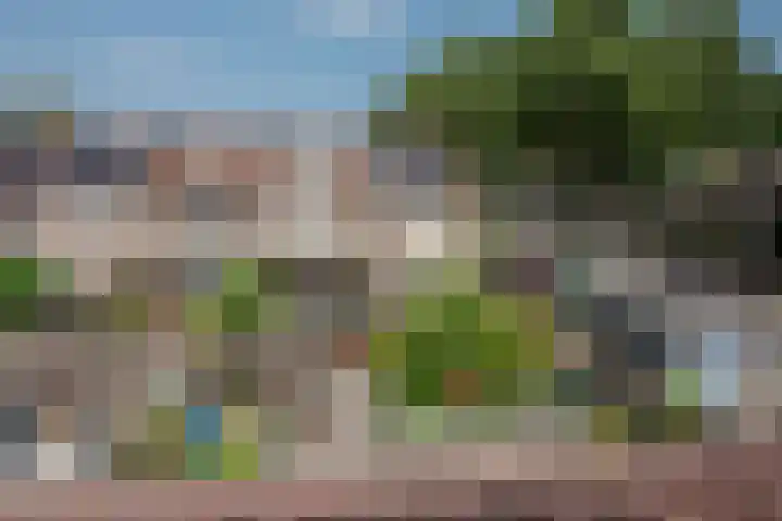 Titaanwit 50 Zoetermeer thumbnail 36