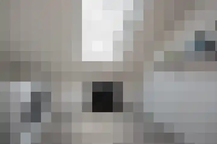 Titaanwit 50 Zoetermeer thumbnail 37