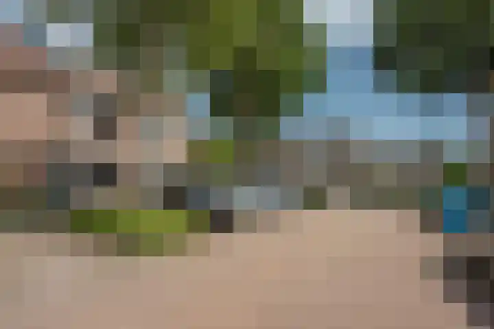 Titaanwit 50 Zoetermeer thumbnail 38