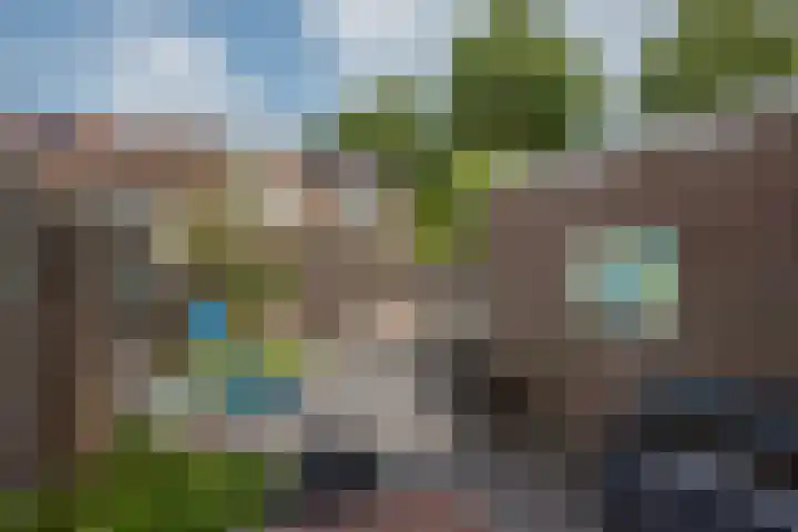 Titaanwit 50 Zoetermeer thumbnail 9