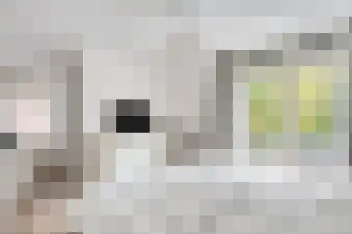 Titanenhof 1 Maastricht thumbnail 17