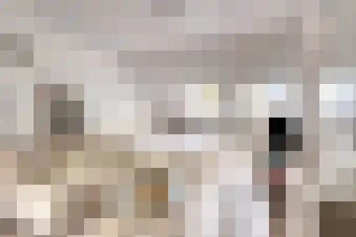 Titanenhof 1 Maastricht thumbnail 28