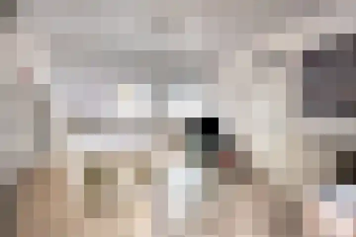 Titanenhof 1 Maastricht thumbnail 30