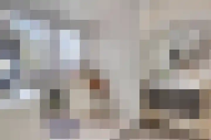 Titanenhof 1 Maastricht thumbnail 31