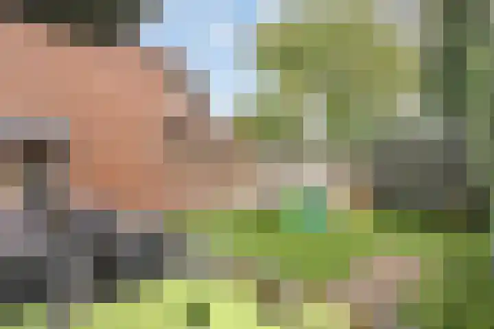 Titanenhof 1 Maastricht thumbnail 32