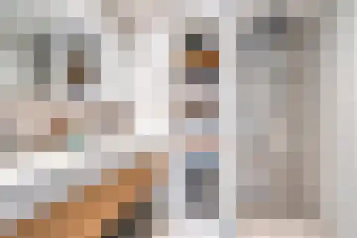 Titanenhof 1 Maastricht thumbnail 5