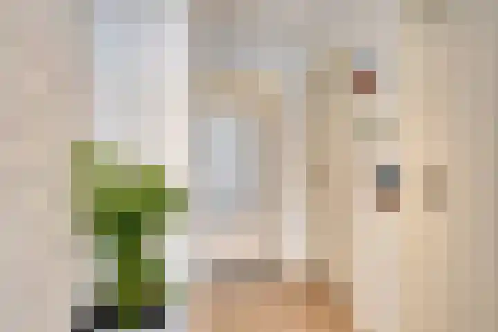 Titanenhof 1 Maastricht thumbnail 7