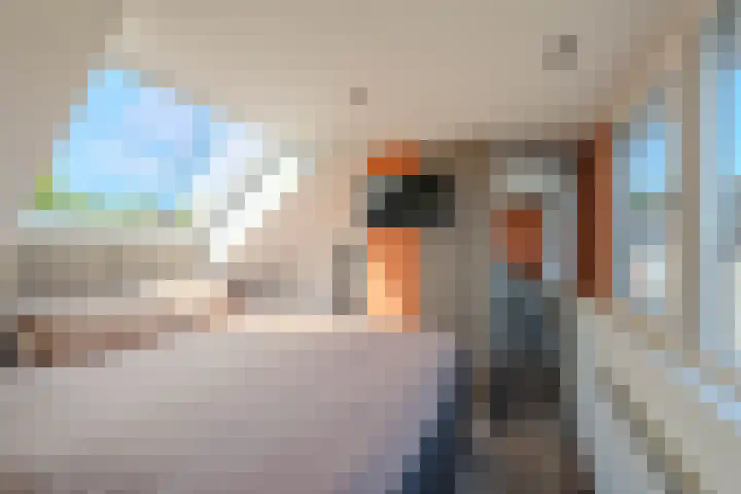 Titanenhof 16 Maastricht thumbnail 62