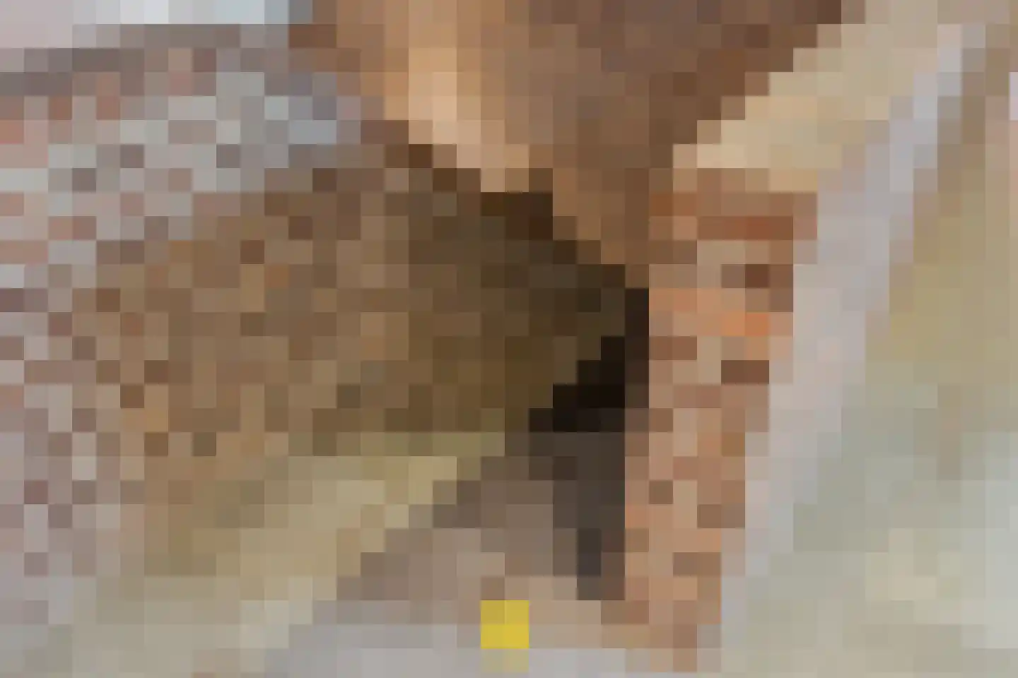 Titanenhof 3770 Riemst Maastricht thumbnail 32