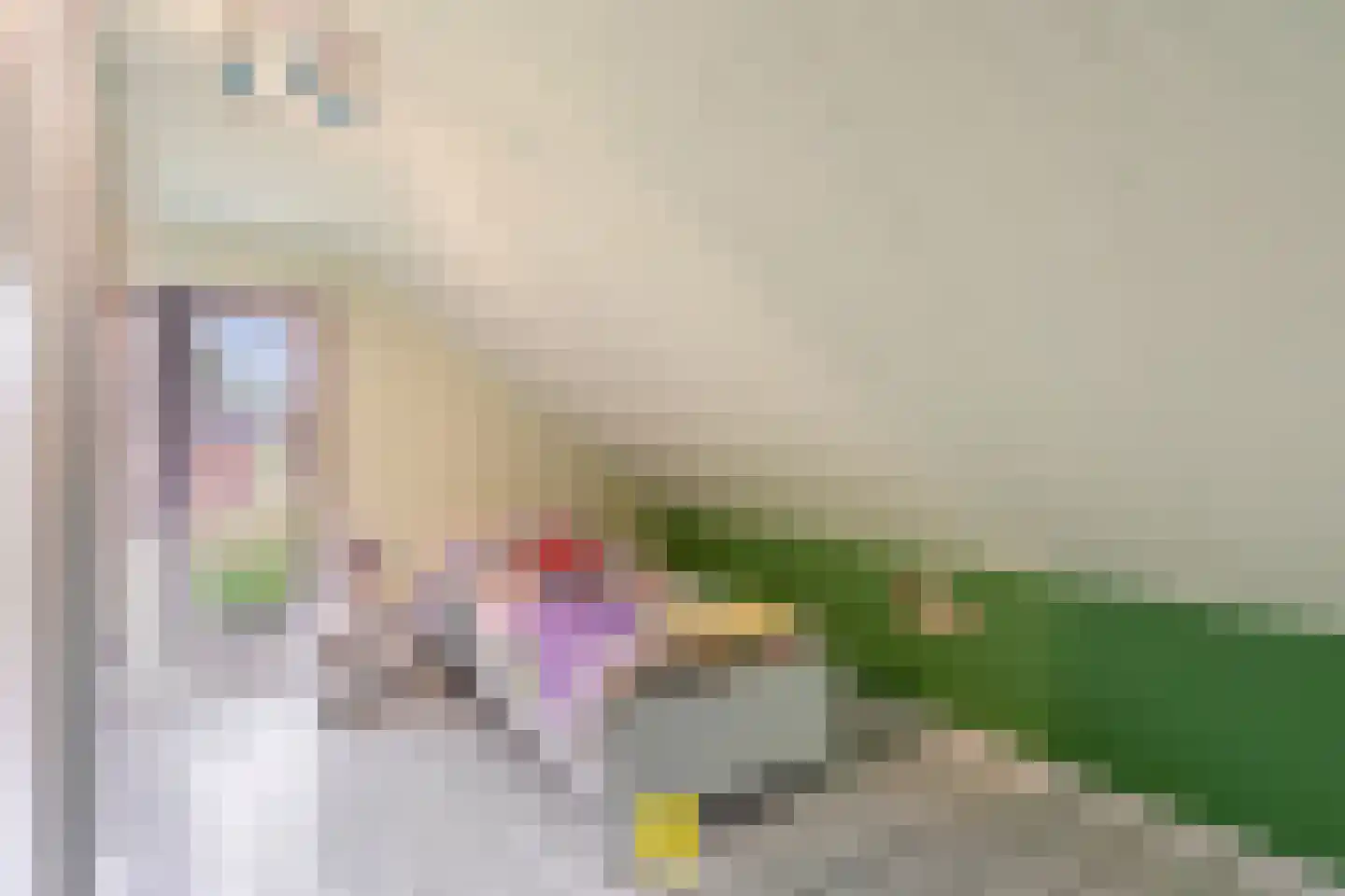 Titanenhof 3770 Riemst Maastricht thumbnail 38