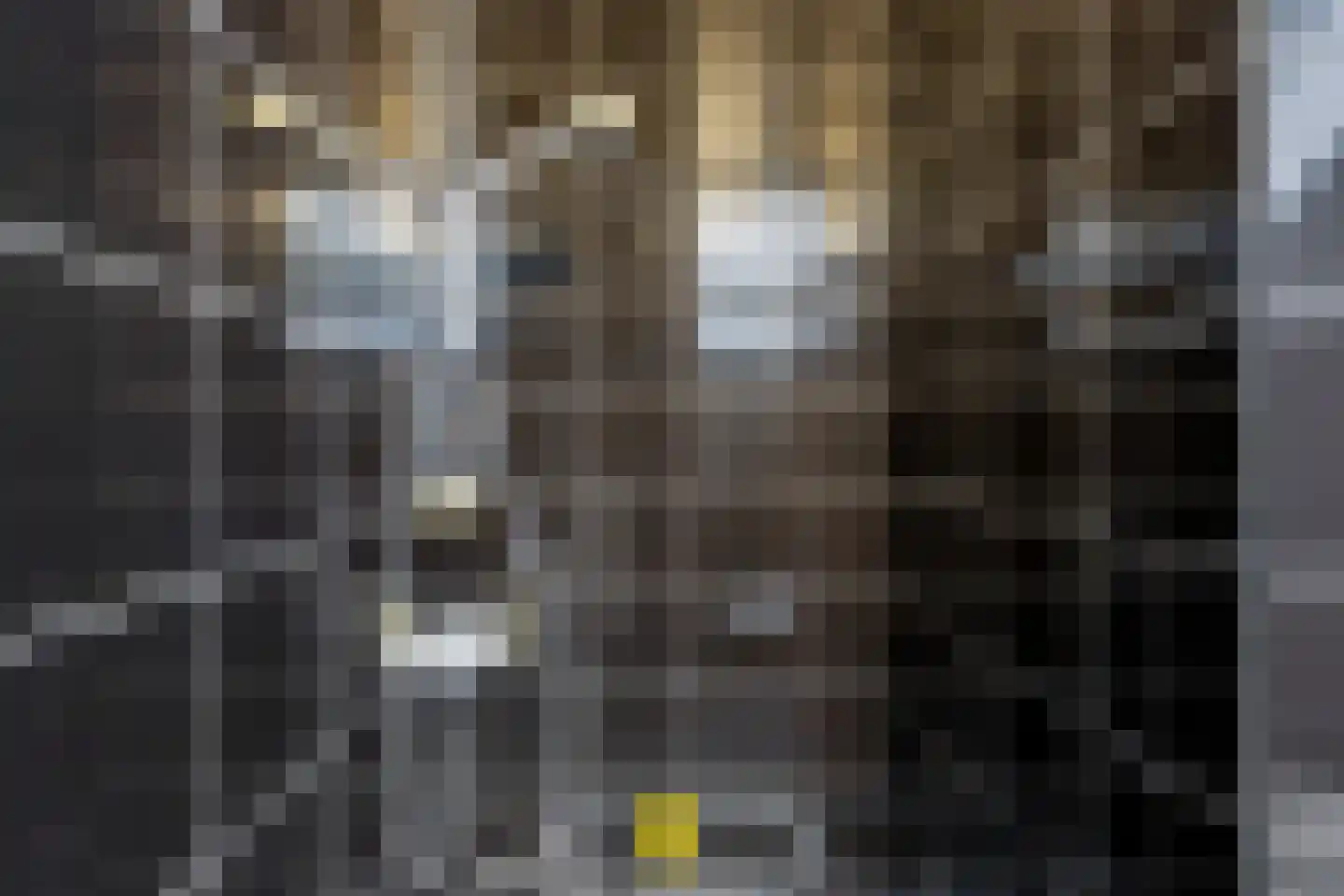 Titanenhof 3770 Riemst Maastricht thumbnail 43