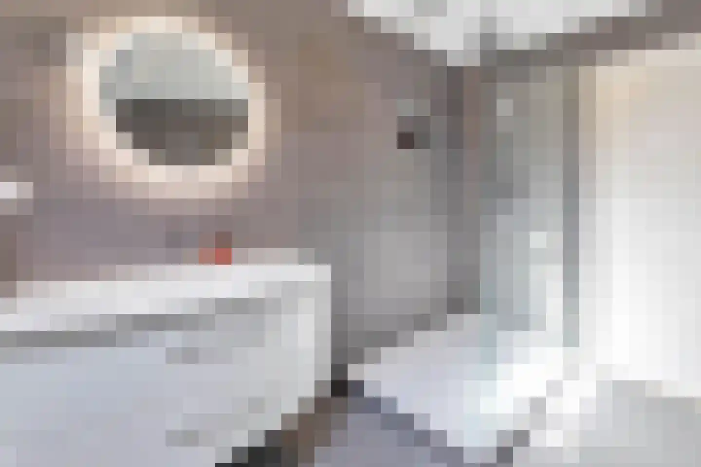 Titanenhof 4 Maastricht thumbnail 31