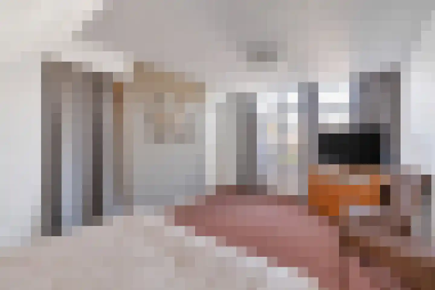 Titanenhof 4 Maastricht thumbnail 35