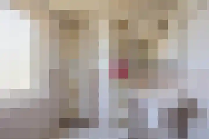 Titanialaan 27 Krommenie thumbnail 30