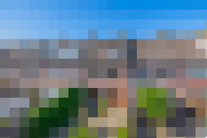 Titanialaan 27 Krommenie thumbnail 41