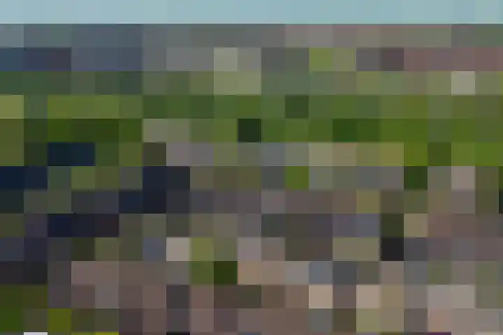 Titanialaan 27 Krommenie thumbnail 47