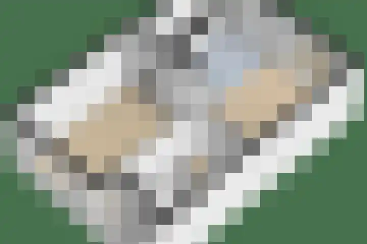 Titanialaan 27 Krommenie thumbnail 49