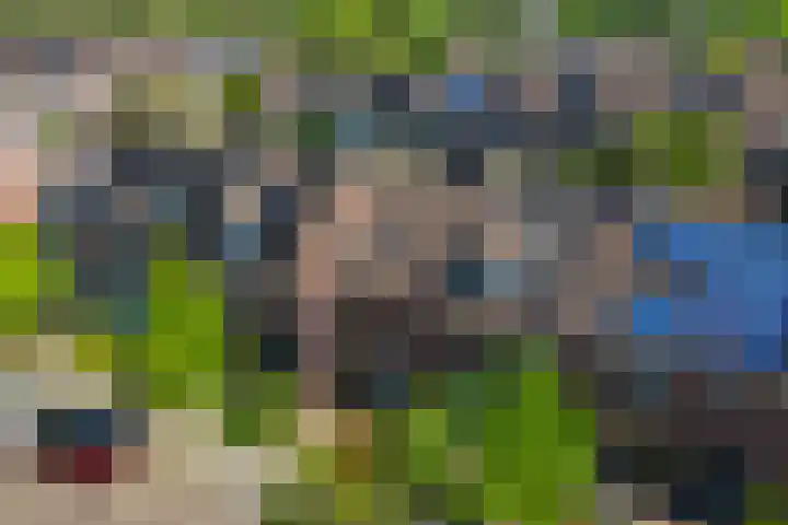 Titanialaan 27 Krommenie thumbnail 5