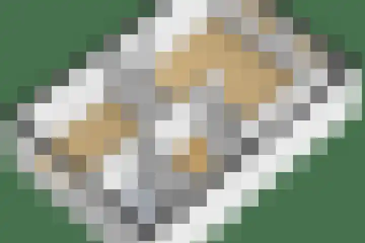 Titanialaan 27 Krommenie thumbnail 51
