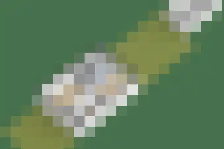 Titanialaan 27 Krommenie thumbnail 55