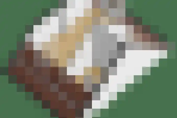Titanialaan 27 Krommenie thumbnail 57