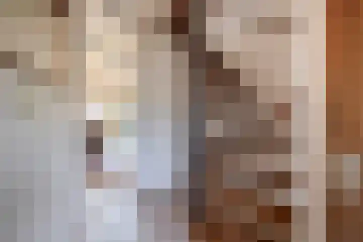 Titanialaan 27 Krommenie thumbnail 9