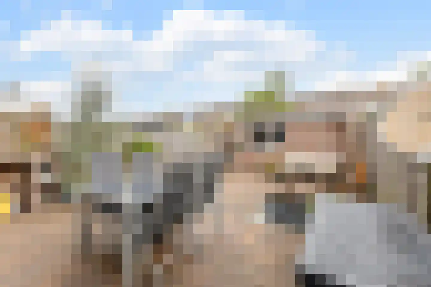 Titanialaan 31 Krommenie thumbnail 13
