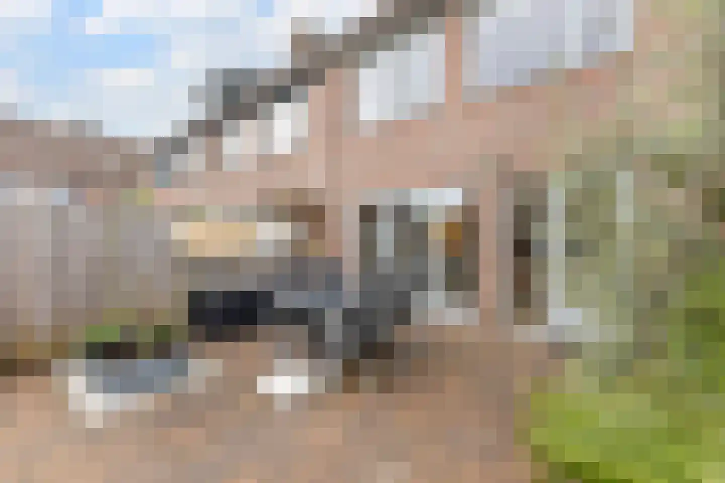 Titanialaan 31 Krommenie thumbnail 16