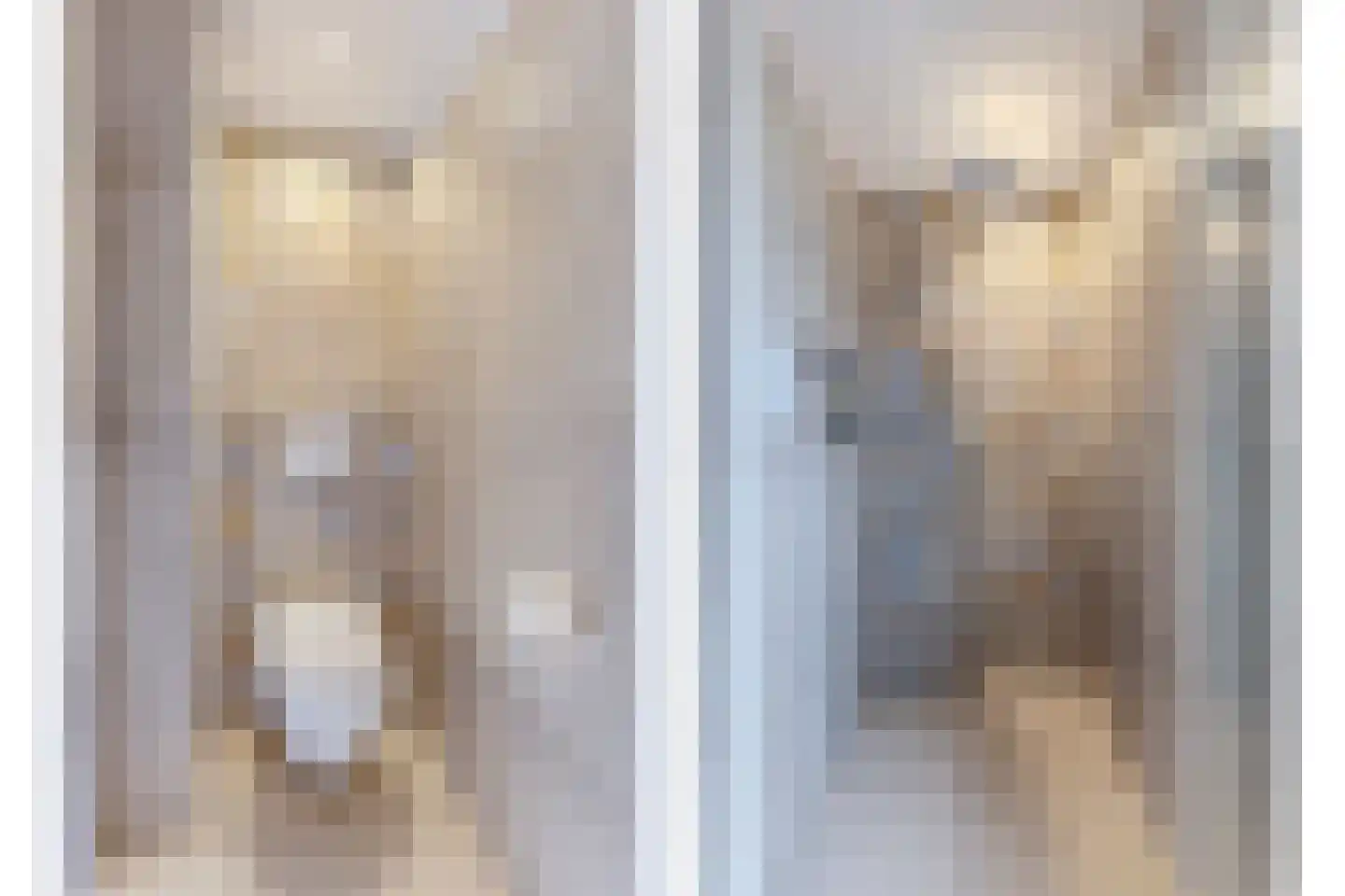Titanialaan 31 Krommenie thumbnail 4