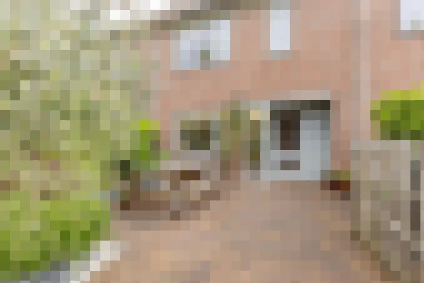 Titanialaan 31 Krommenie thumbnail 5