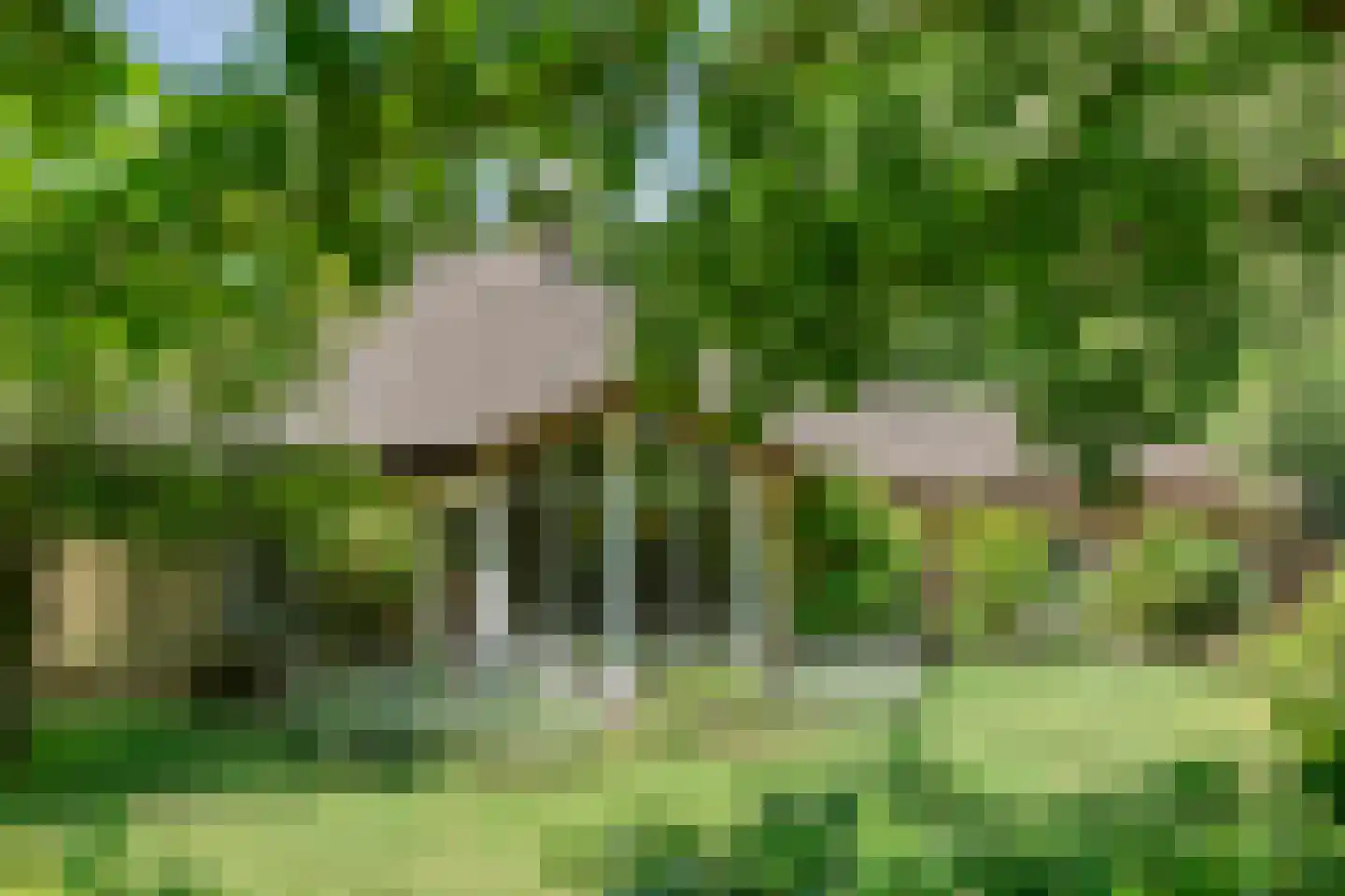 Titanialaan 5 Diever