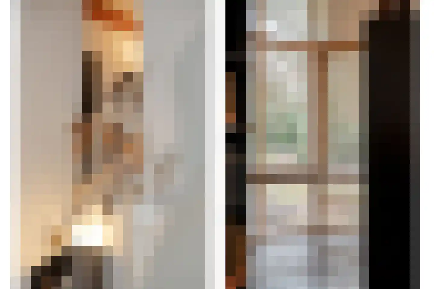 Titanialaan 5 Diever thumbnail 10