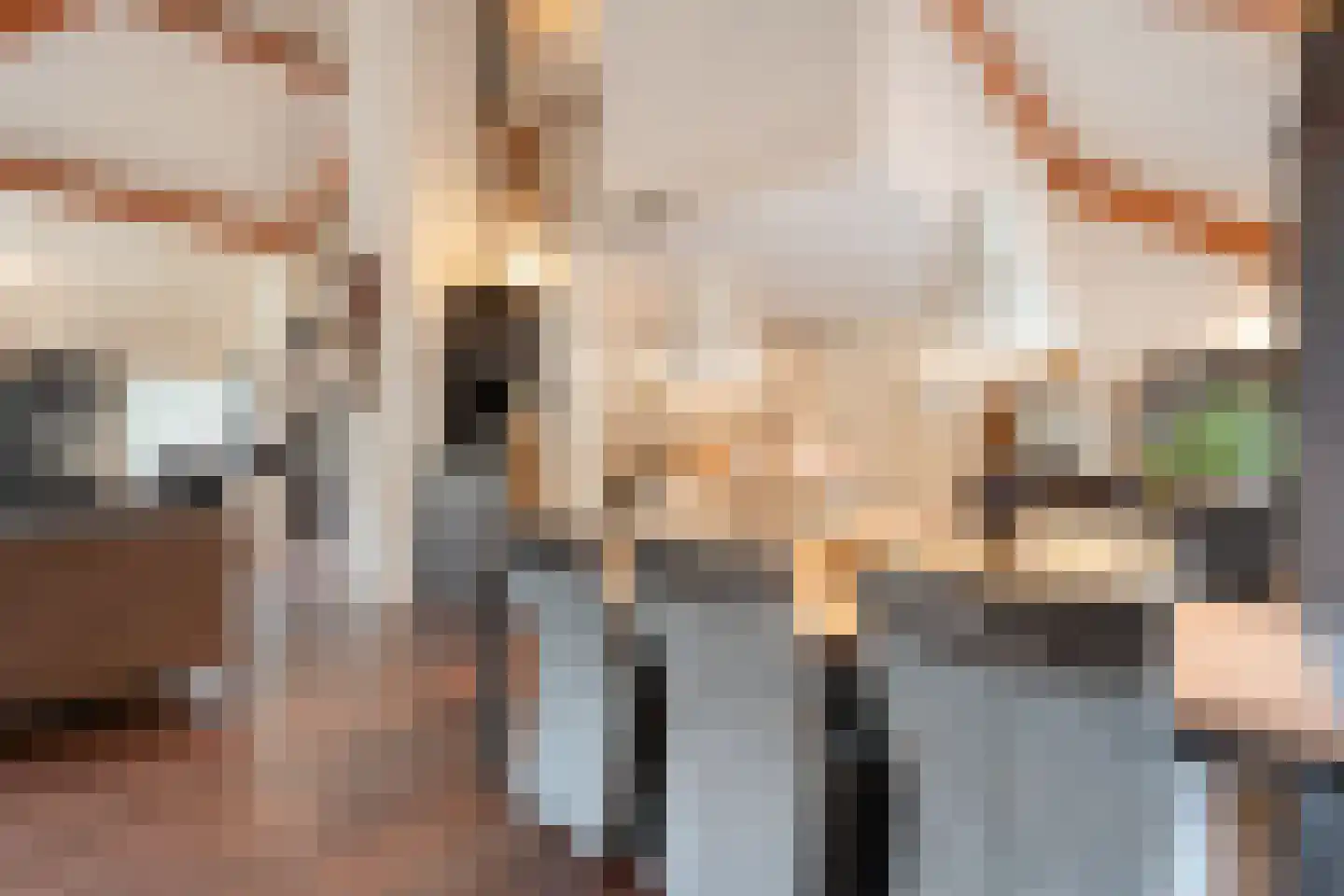 Titanialaan 5 Diever thumbnail 14