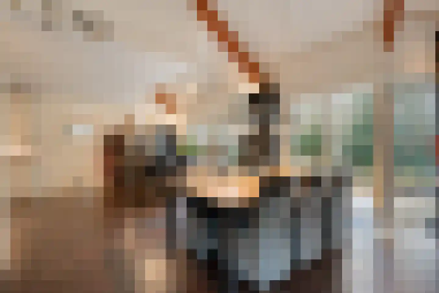 Titanialaan 5 Diever thumbnail 16