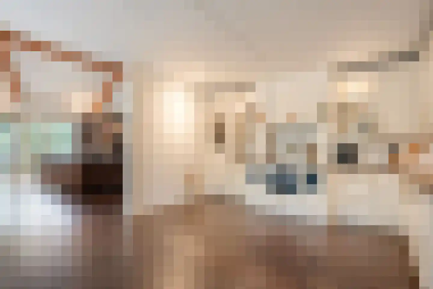 Titanialaan 5 Diever thumbnail 21