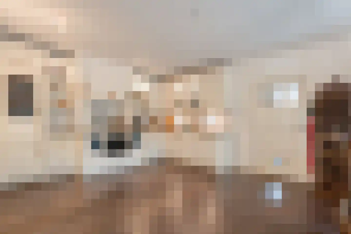 Titanialaan 5 Diever thumbnail 22