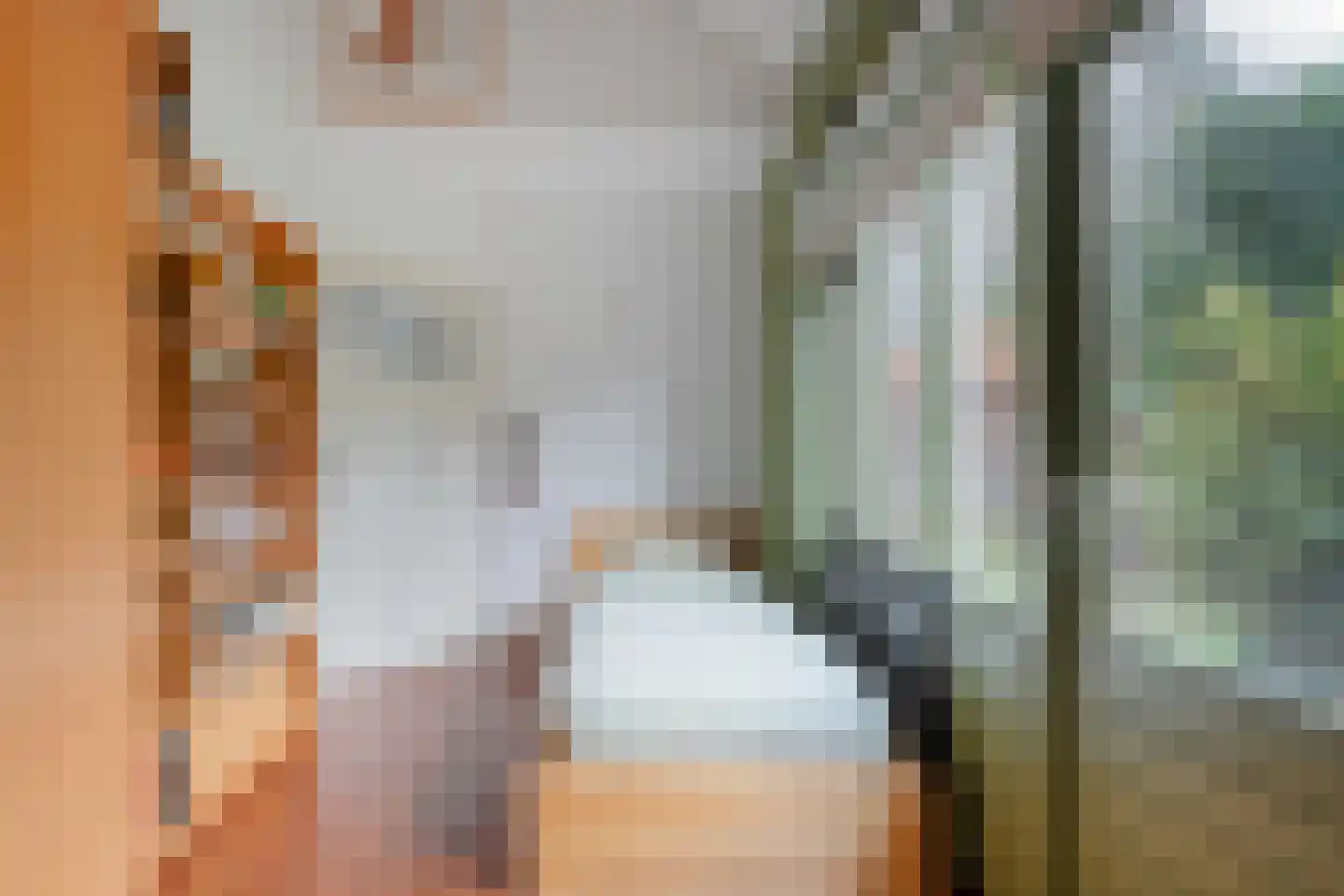 Titanialaan 5 Diever thumbnail 25