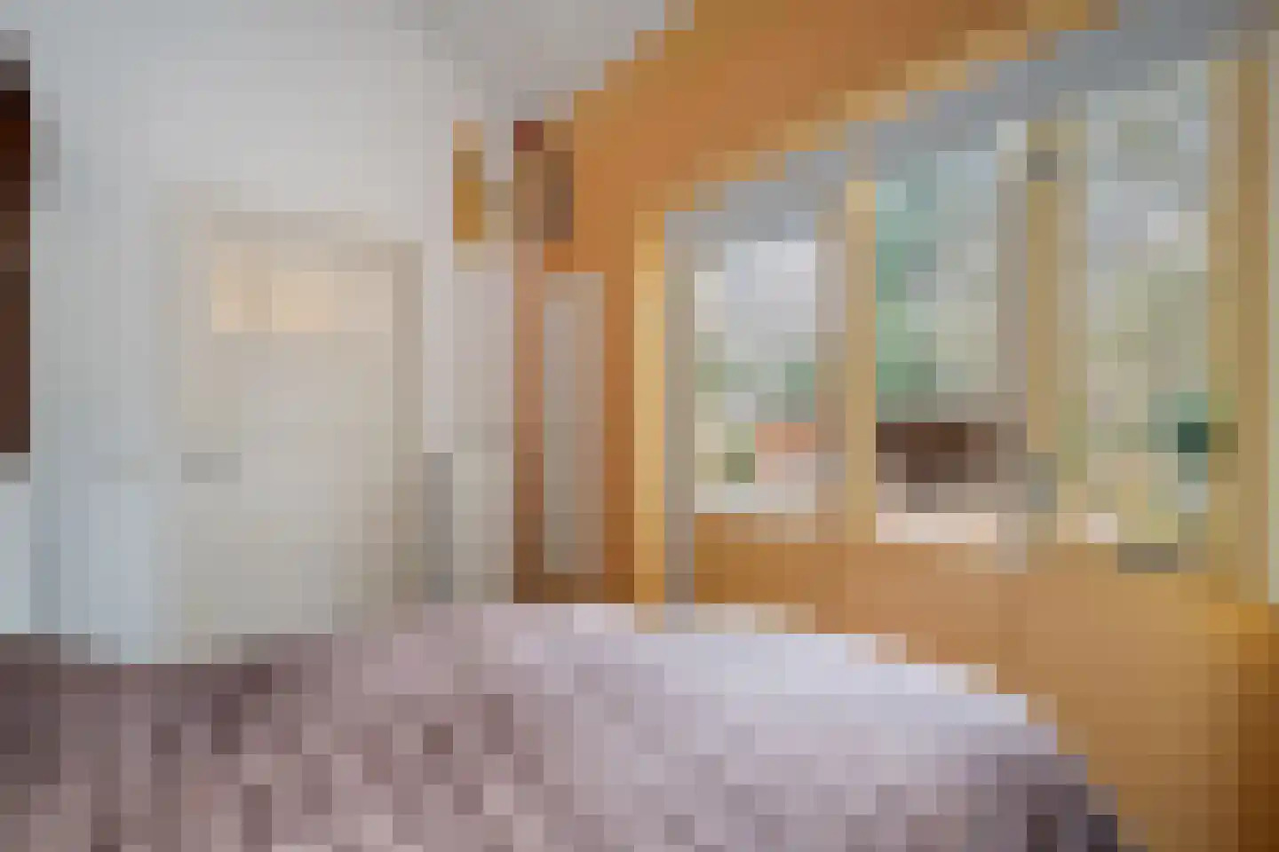 Titanialaan 5 Diever thumbnail 28