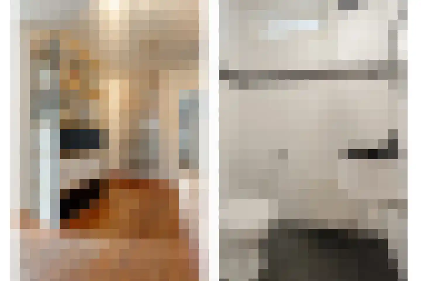 Titanialaan 5 Diever thumbnail 32