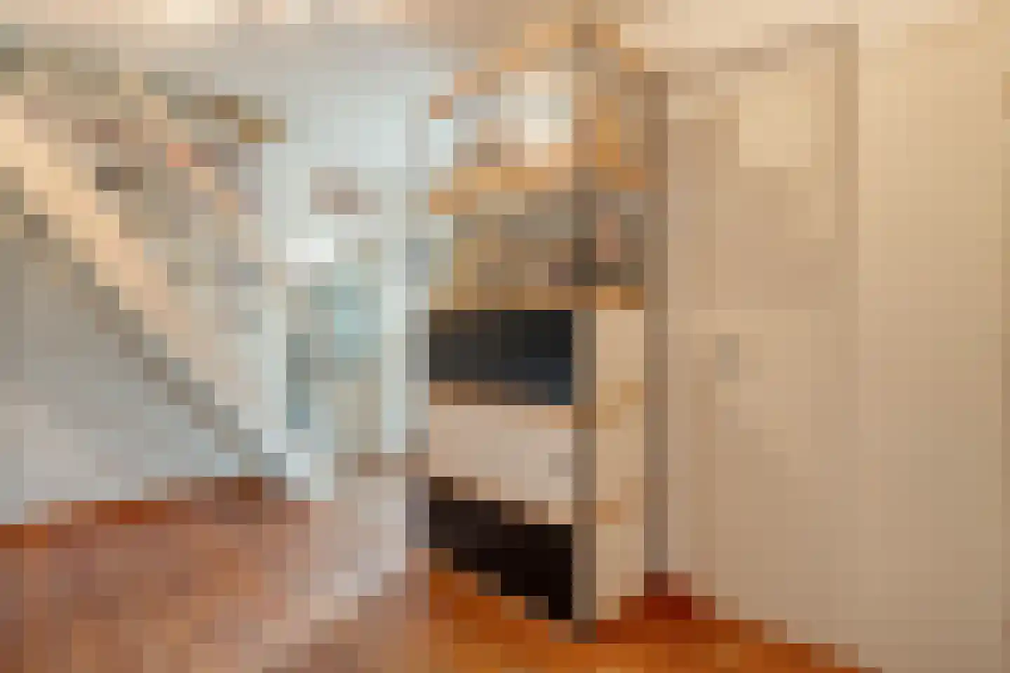 Titanialaan 5 Diever thumbnail 33