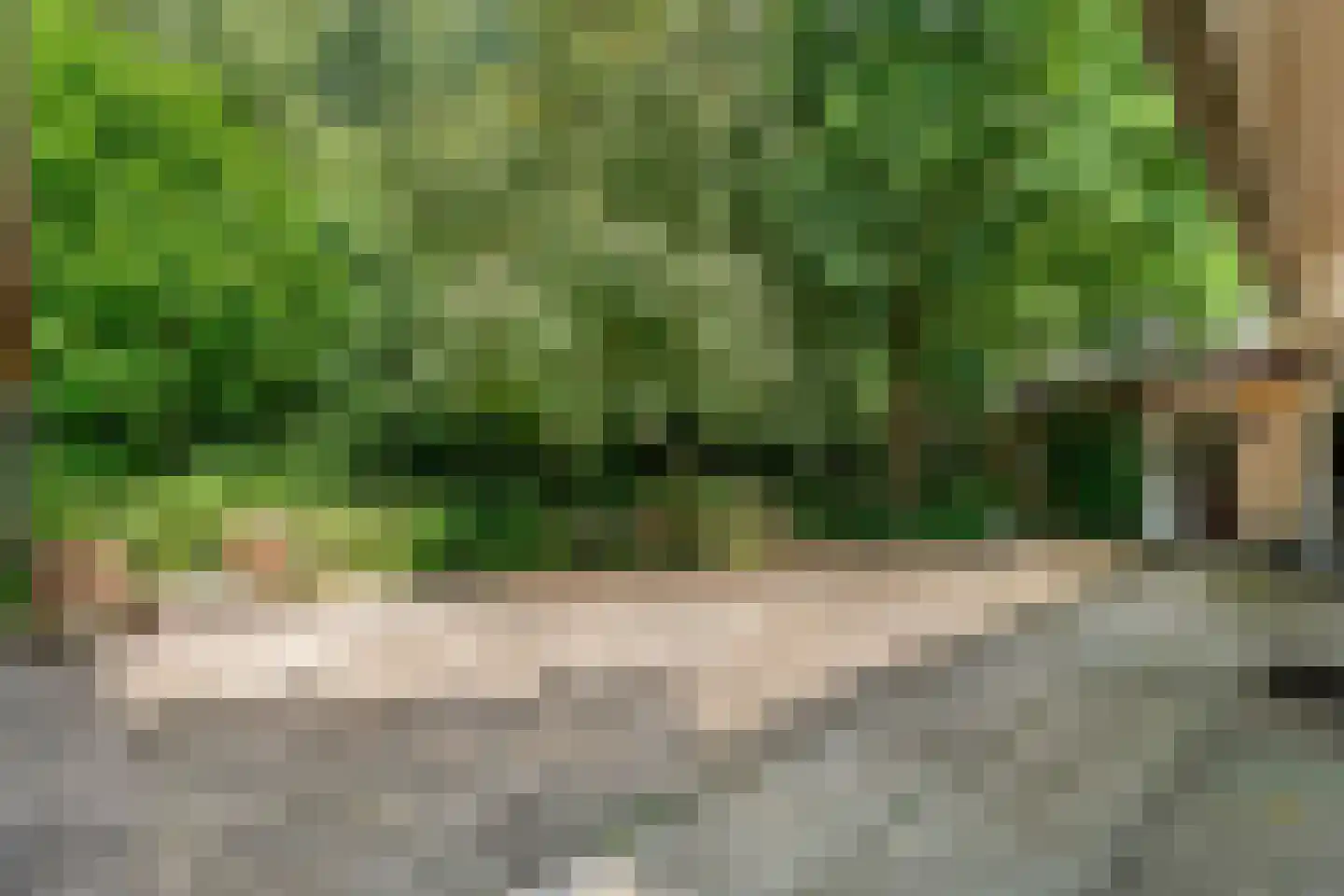 Titanialaan 5 Diever thumbnail 34