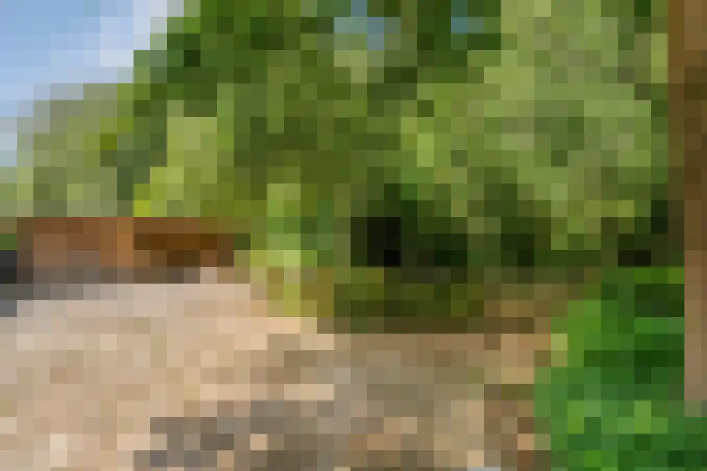Titanialaan 5 Diever thumbnail 35