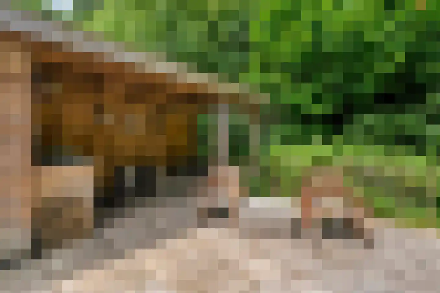 Titanialaan 5 Diever thumbnail 36