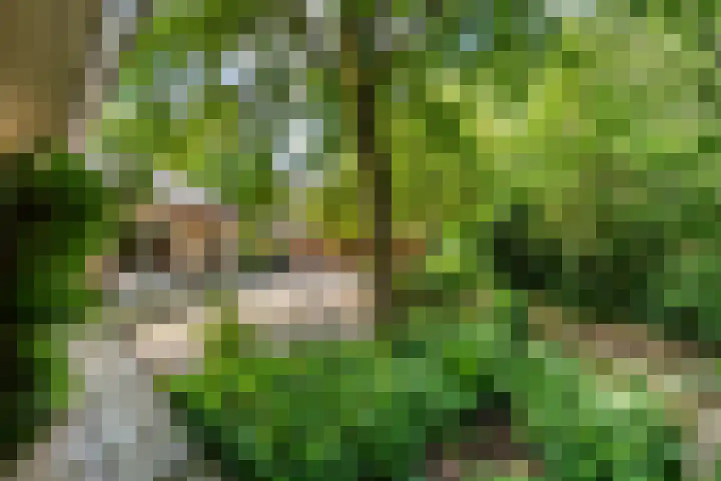 Titanialaan 5 Diever thumbnail 37