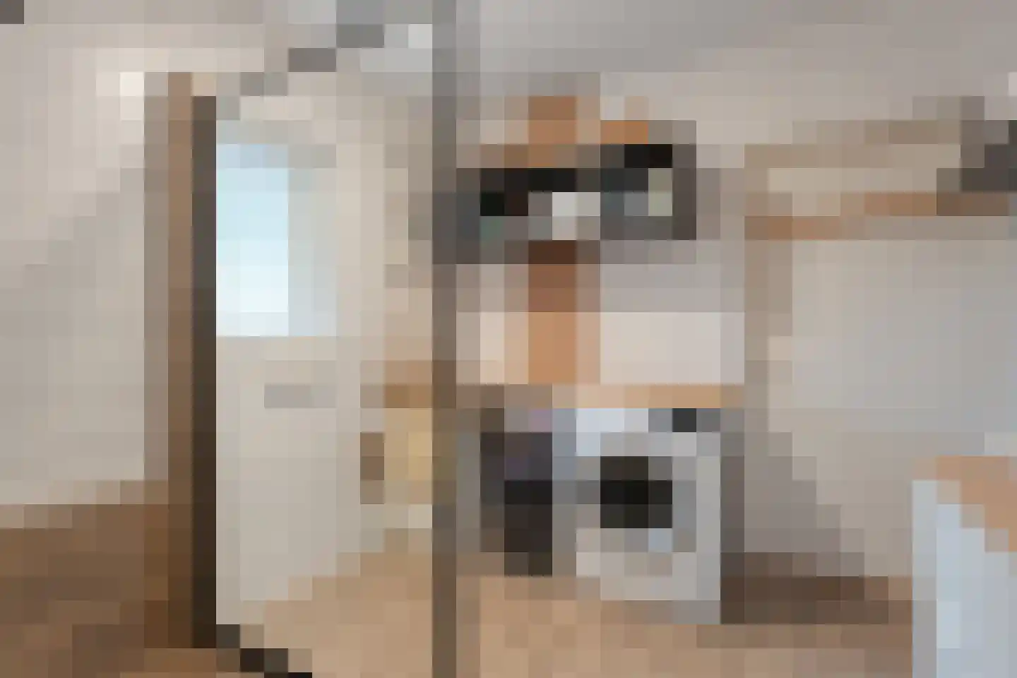 Titanialaan 5 Diever thumbnail 38