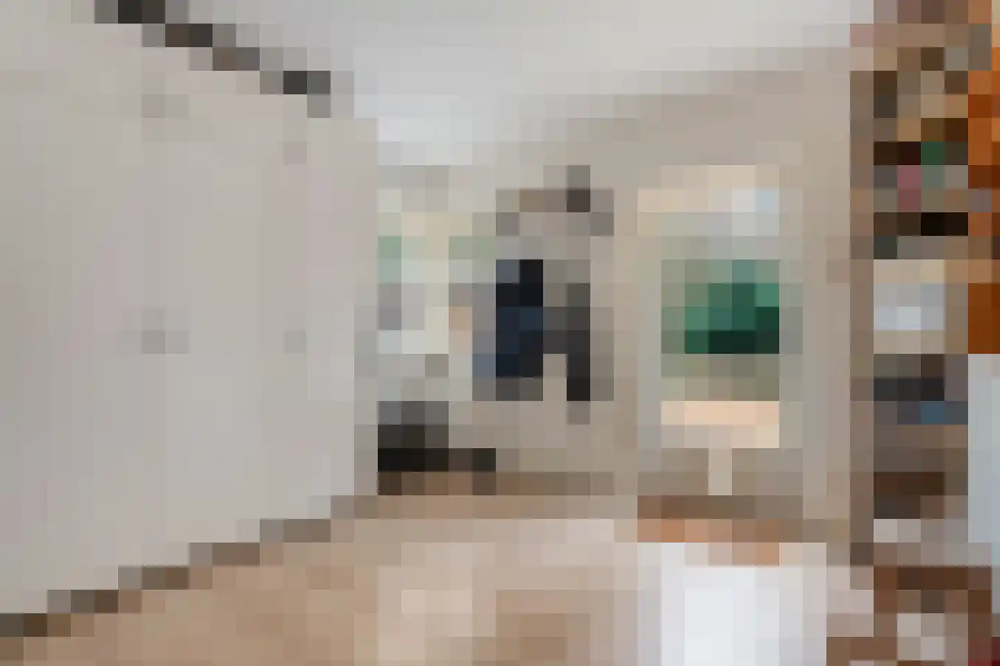 Titanialaan 5 Diever thumbnail 39