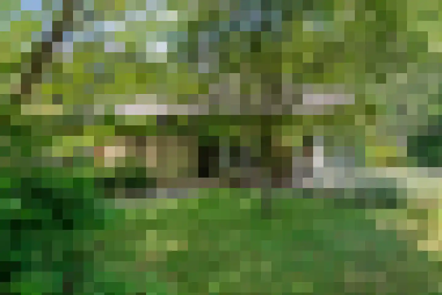 Titanialaan 5 Diever thumbnail 40