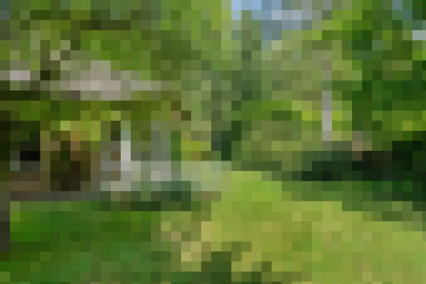 Titanialaan 5 Diever thumbnail 41