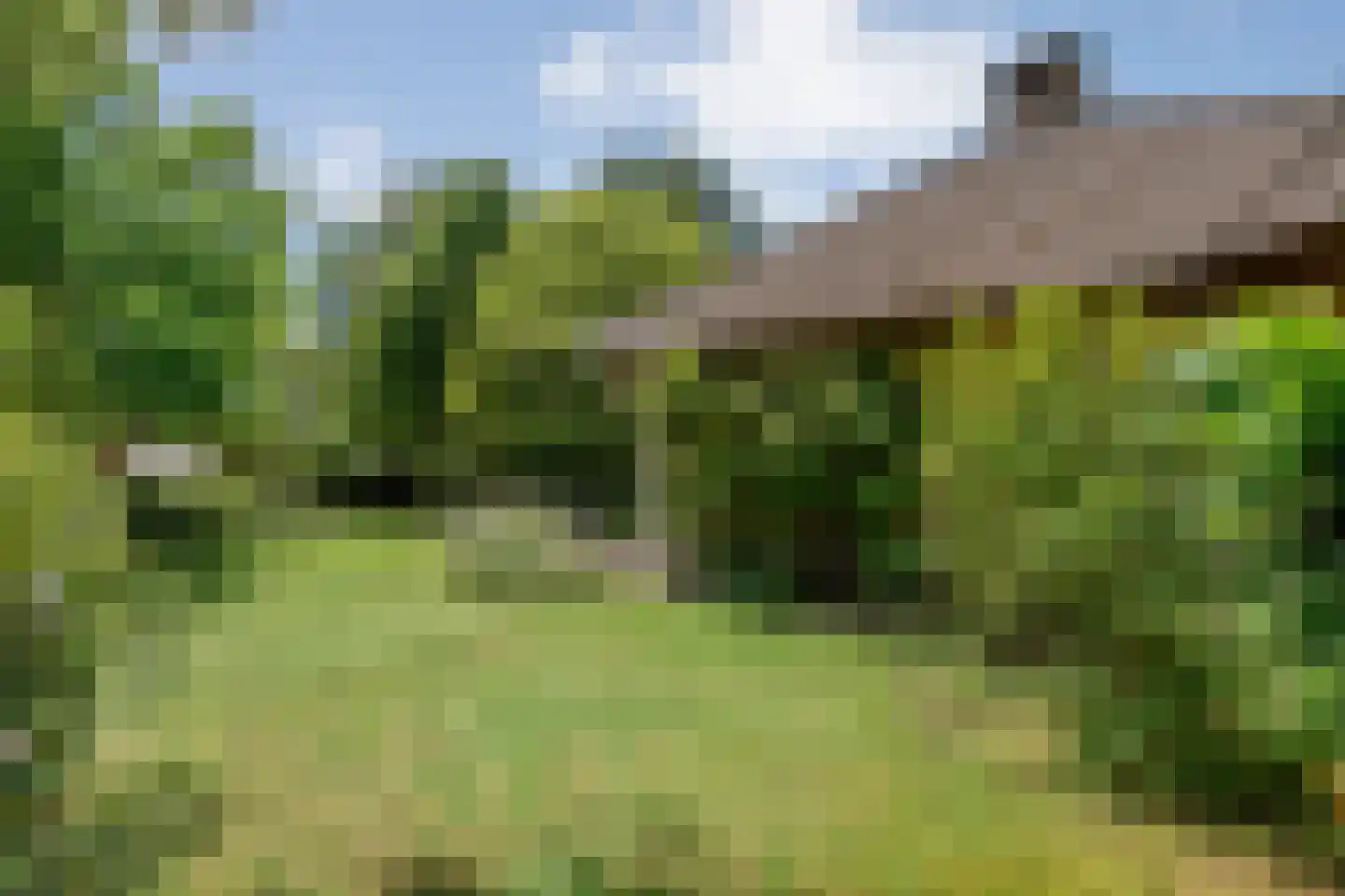Titanialaan 5 Diever thumbnail 43