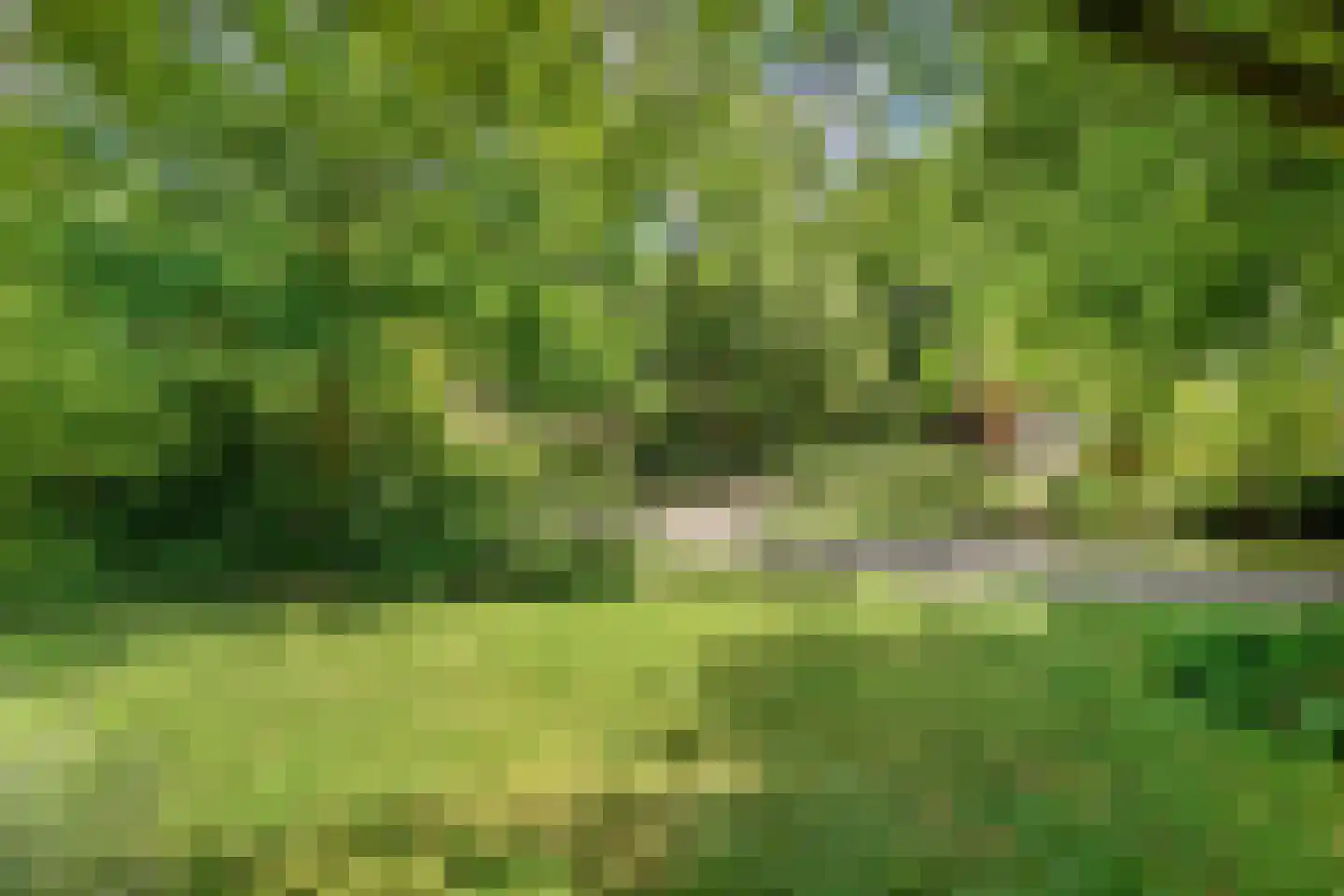 Titanialaan 5 Diever thumbnail 44